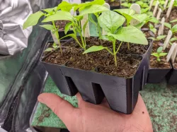 Seed/Module/Cell Tray MK2 (Seed/Plug Tray)