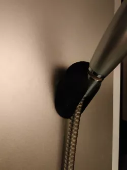 Shower holder