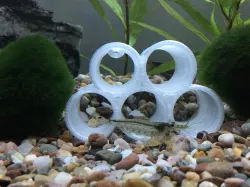 Shrimp Tubes (with / without feet) for Aquarium / Fish Tank