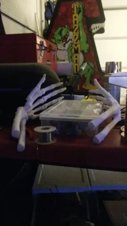 Skeleton Hands and Arms