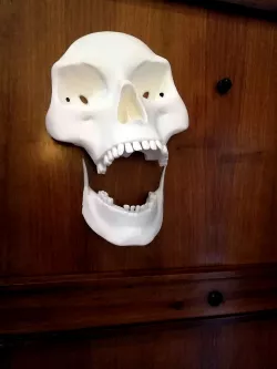 Skeletons are coming!