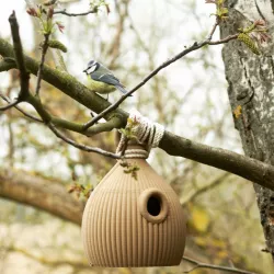 The Birdhouse