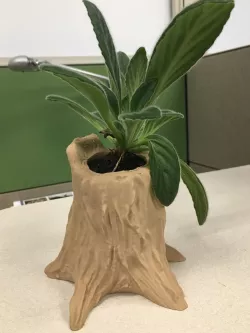 Tree Stump Planter