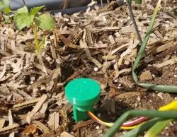 Adafruit Stemma Capacitive Soil Sensor Cover for IoT Garden