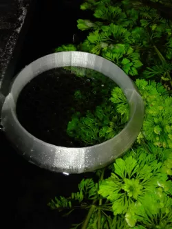 Aquarium - Fish floating feeder (Customize)