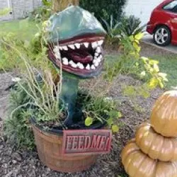Audrey 2