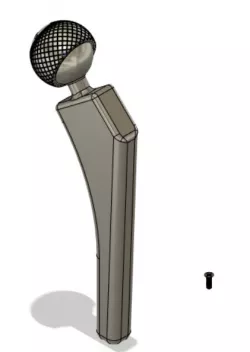 Bionic hip joint