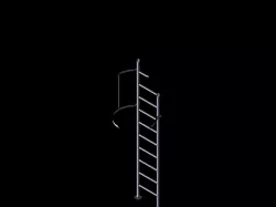 Cage ladder