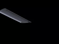 Discus 2a wing