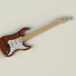 Electric guitar