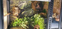 Filtro terrario / Terrarium filter