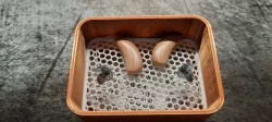 Hearing Aid Dry Box