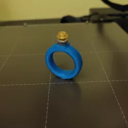 LEGO ring
