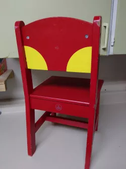 Paint shield