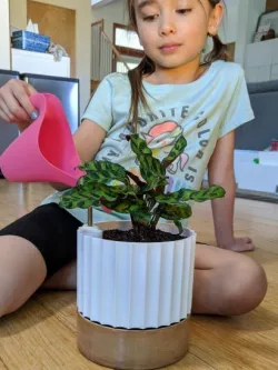 Parametric Self Watering Planters w/ Water Level Indicator