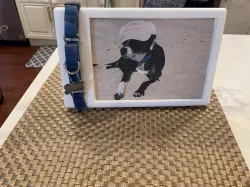 Pet Collar Display Picture Frame