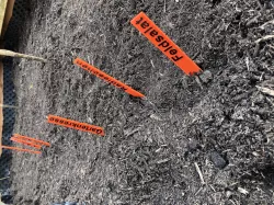 Plant Labels