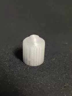 Schrader Valve Cap