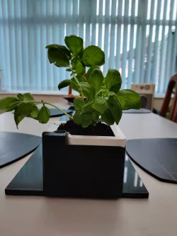 Self Watering Herb Planter
