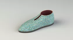 Shoe