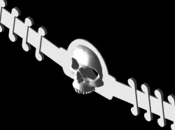 Skull Ear Saver