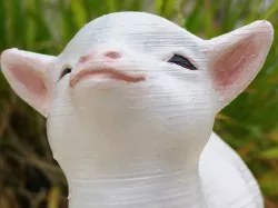 Smug goat