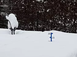Snow depth meter for moderate snowfall