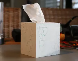 Tissue box