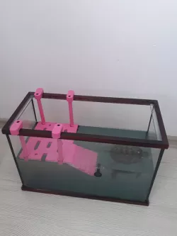 Turtle Dock