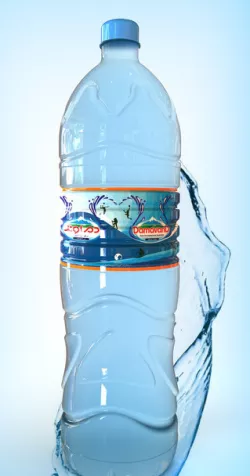 Bottle