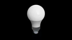 Bulb