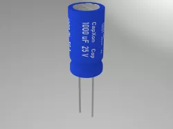 CAPACITOR
