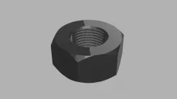 Hex Nut