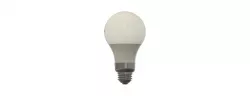 Light Bulb
