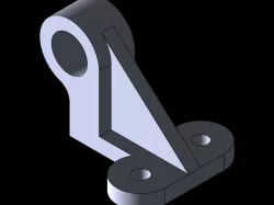 Rib