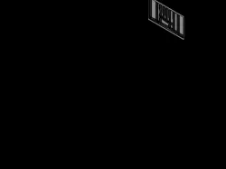SC9001 (06)