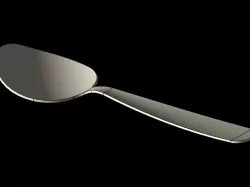 Spoon