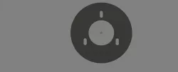 Strut Mount