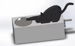 Кошка и мышка. Игрушка. / Cat and mouse. Toy.