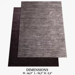 ALLMODERN Rugs 312 3D model