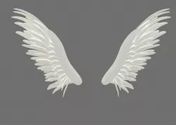 angel wings 3D model