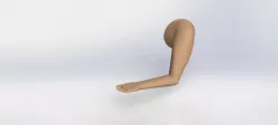 Arm-Hand Model