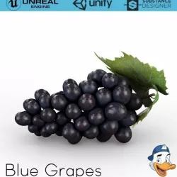 Blue Grapes 3D model