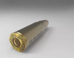 BULLET- 300 H&H MATCH