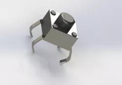 Button