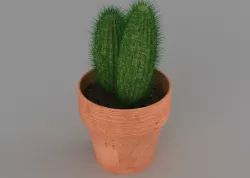 cactus 3D model