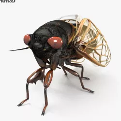 Cicada HD 3D model