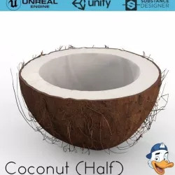 Coconut Half 3D model