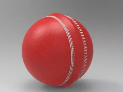 Cricket ball