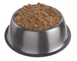 dog food bowl with food 3D model